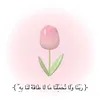 user2287969819657