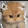 ptrizxz_14