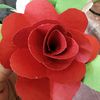 daun.kelor7089