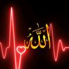 user9777527082