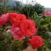 conny.silva6
