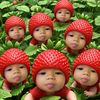 puttita.seedam