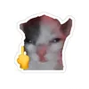 towthichscaaujmaatsrooif