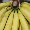 ecep.pisang