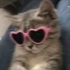 user_da_lic