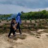 winarsih.narsih21