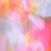 pinteresthunt