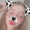 iemilyns