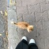 hadeermahmoud4321