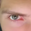kovalevofficial0