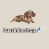 bussinka536