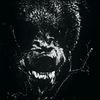 quitly_88_44