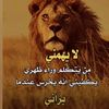user2278606875096