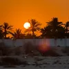 nawafalshamari79