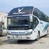nosheencoach2