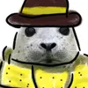 wonderofseal