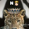 nasrabilan7