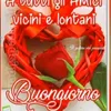 filomena.neri
