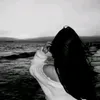 aiahamohammed4