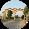maswud.husin