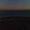 vns_618
