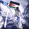 hama_balak61