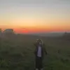 nikola_pv24