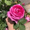 yomna.guesmi