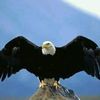 user8122761087865