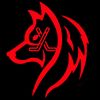 aryanhockey_