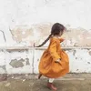 mv_3ii