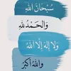 user51270396903191