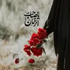 user073770252
