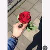 malek6732