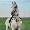 haskaoi7