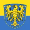 polski_goyim