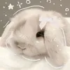 maimaieffect