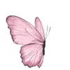 hajer_2571