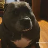 heavyweaponsguy61