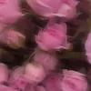 rimimmmmiiiiiiiiiiiiiii5