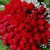 efnan099