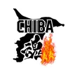 🔥千葉魂🔥千葉県高校野球全力応援