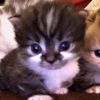 jose_16_06_2010