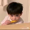 yangppkan1