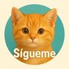 cat_history45