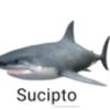sikutil97