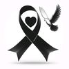 user8139734530348