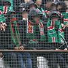 3imadmouloudia