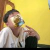 flaz_king