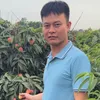 Gia Dụng 10K